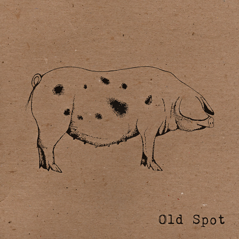 Old Spot Music Album Cover Rowan Piggott Joe Danks Oldtime Appalachian Fiddle and Banjo